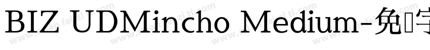 BIZ UDMincho Medium字体转换